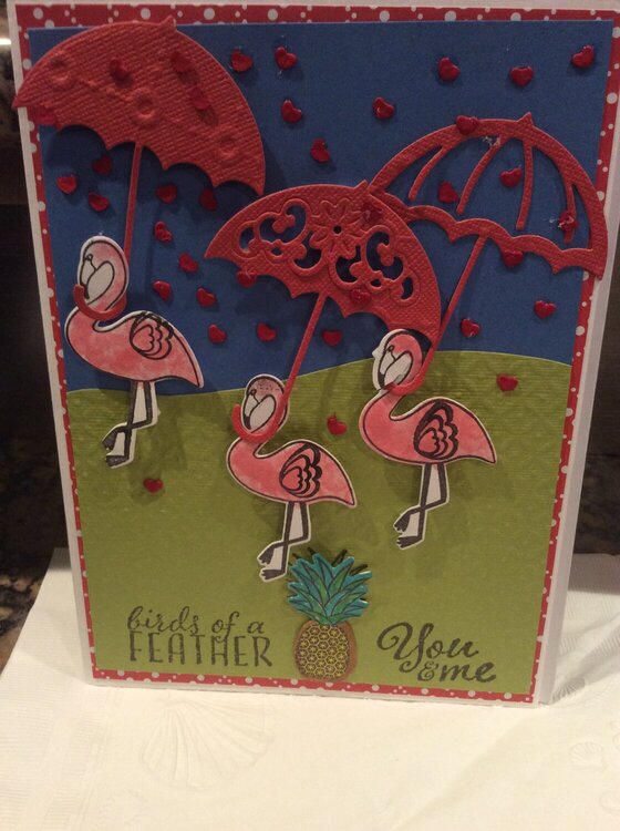 Birds of a Feather Valentines