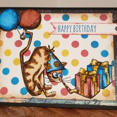 Cat Bday