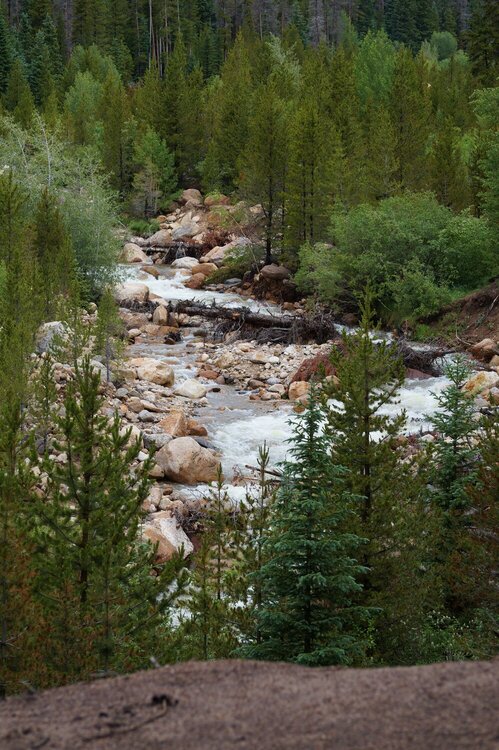River in Rocky Mountain National Park
