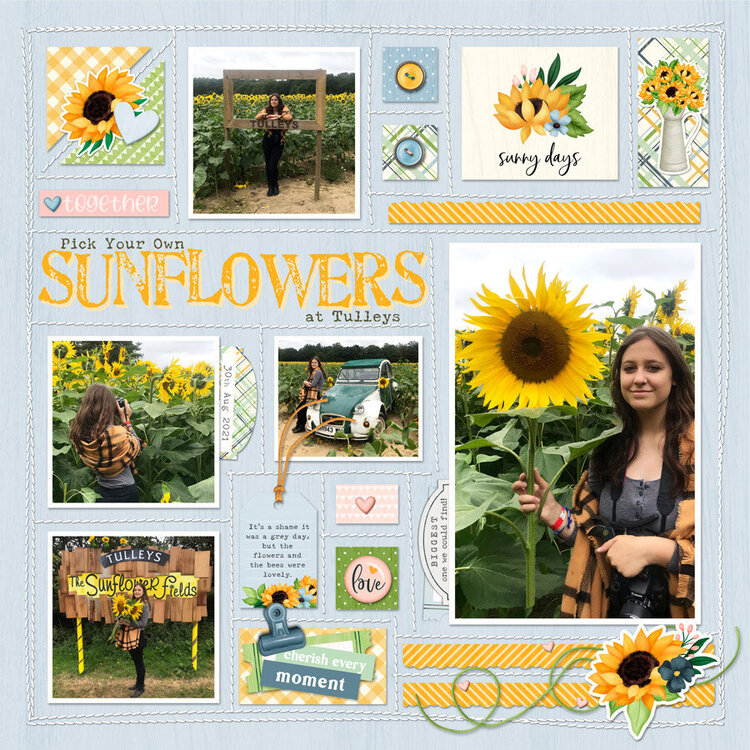 Sunflowers