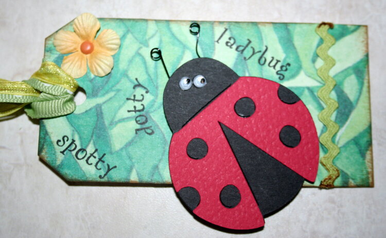 Ladybug Tag