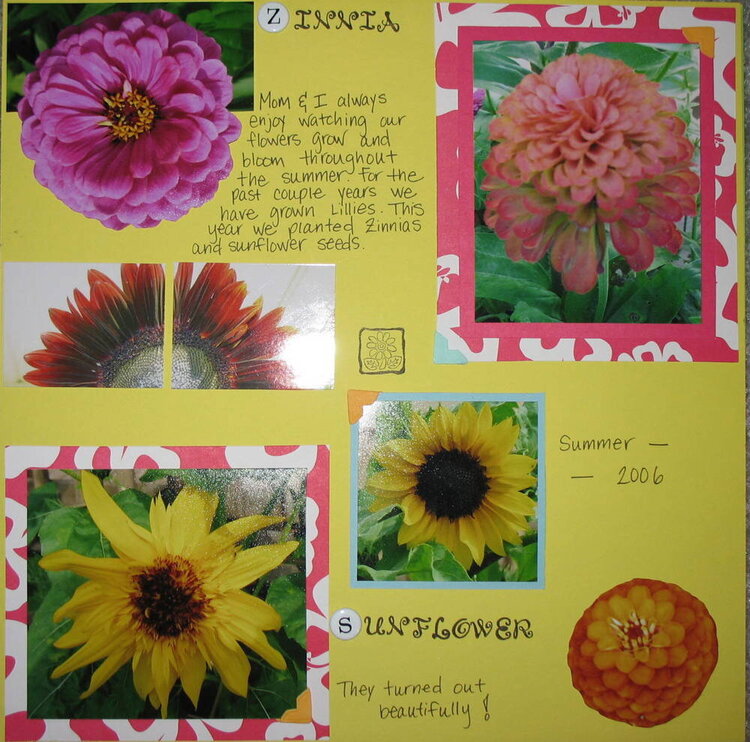 Zinnias and Sunflowers