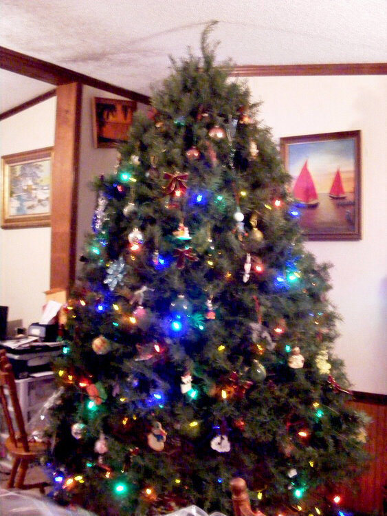 Our Christmas Tree