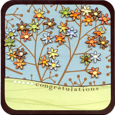 Congratulations Card - Scenic Route Ashville