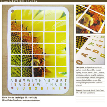 Photo Mosaic (technique 44)