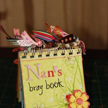 Nan&#039;s Brag Book