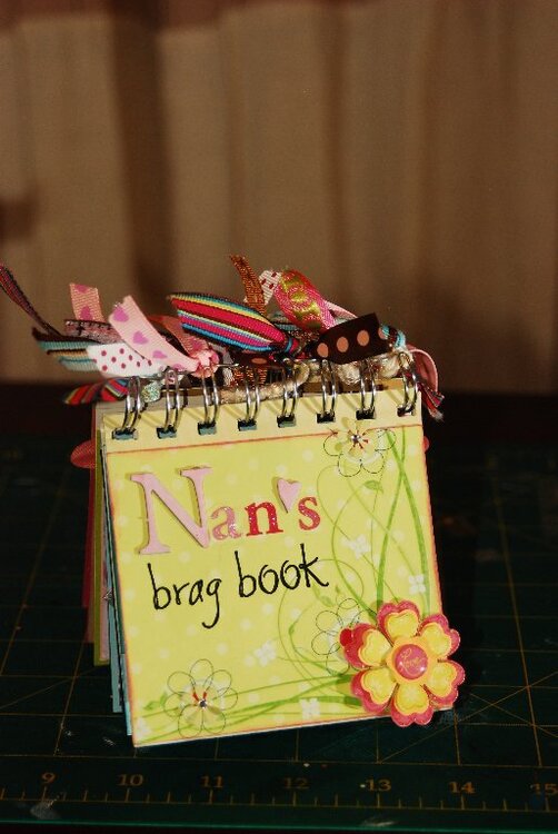 Nan&#039;s Brag Book