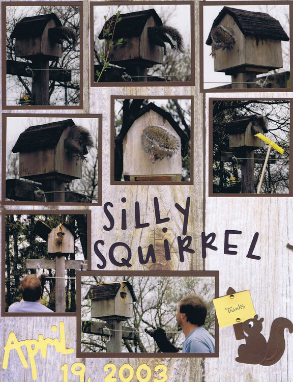 2003 Silly Squirrel