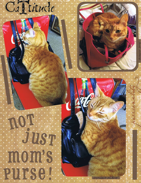 Not justMom&#039;s purse