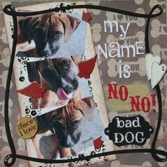 My name is NO NO! bad dog