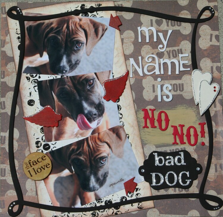 My name is NO NO! bad dog