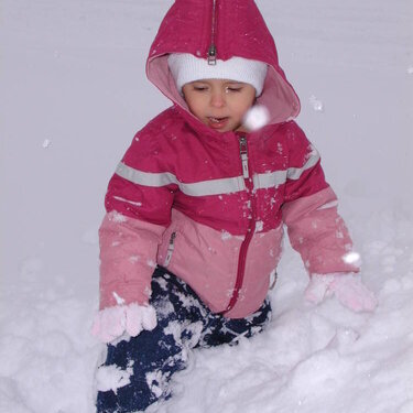 Colorado Blizzard