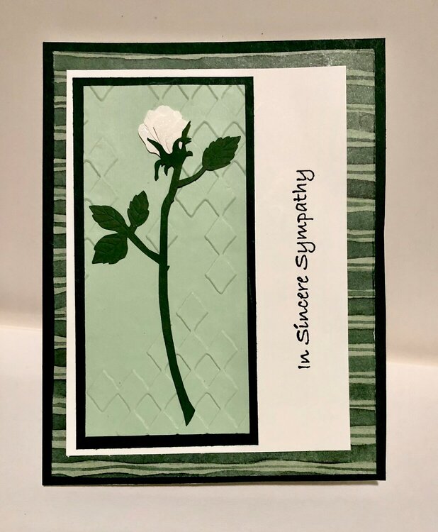 Green Rose Sympathy Card