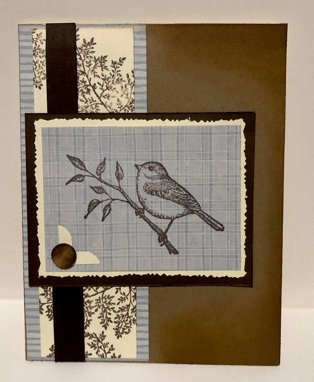Blue and Brown Bird Card