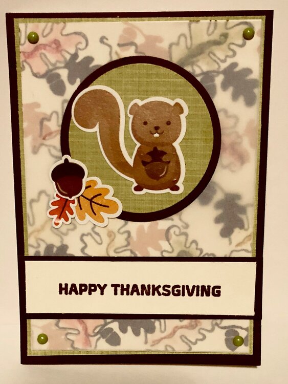Squirrel and Leaves Thanksgiving Card