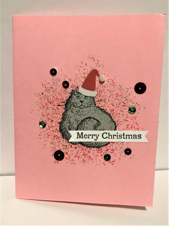 Pink Cat Christmas Card