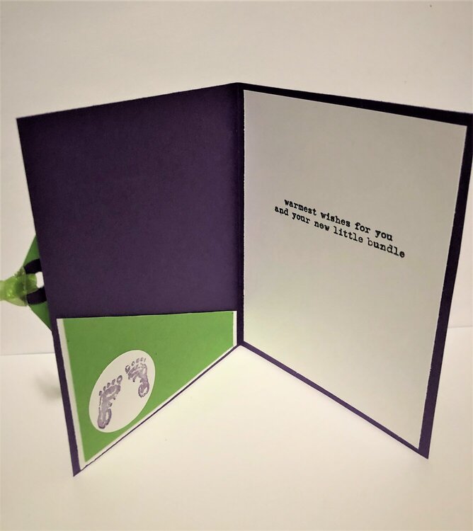 Green and Purple Baby Flip Flap Card Front