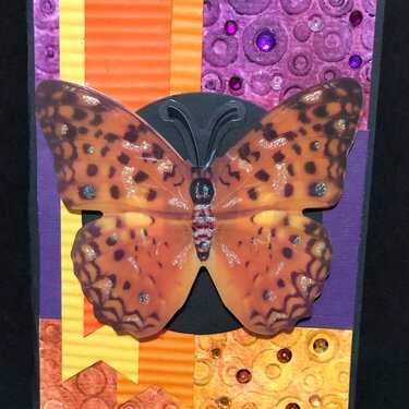 Big Butterfly Card #1