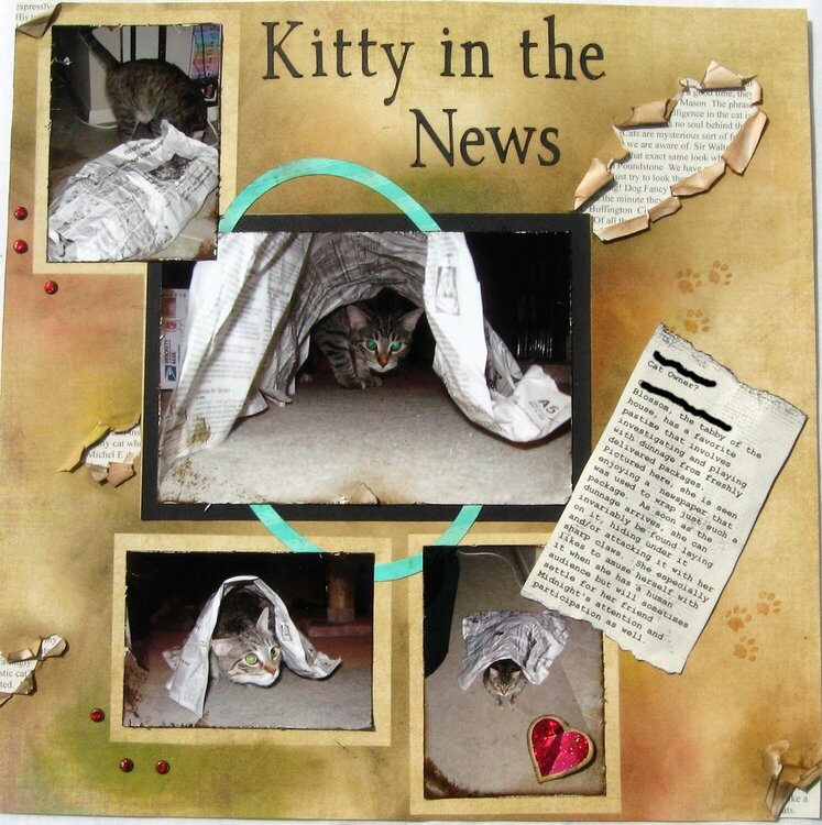 Kitty in the News