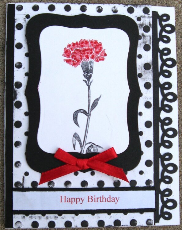 Black and White and Red Carnation Card
