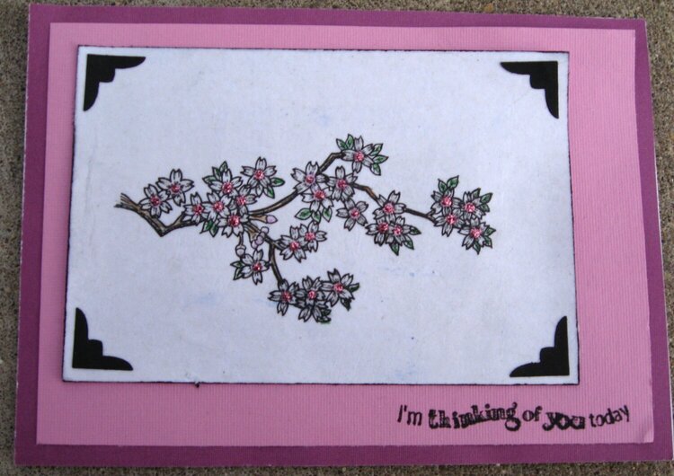 Pink Cherry Blossom Card