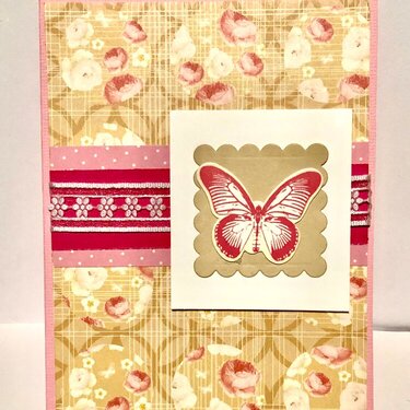 Pink and Beige Butterfly Card