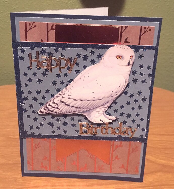 White Owl Birthday Card