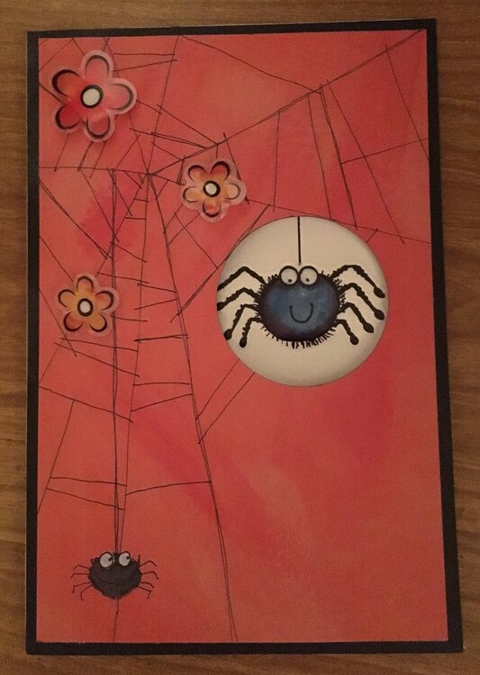 Two Spiders in a Web Card