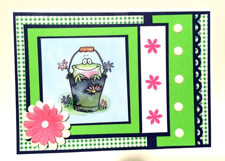 Frog and Flowers Green Checkered Card