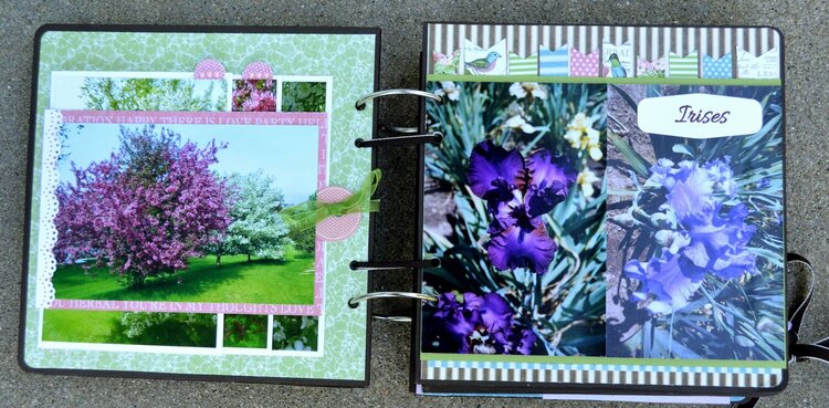 Cranberry Bushes and Irises Pages