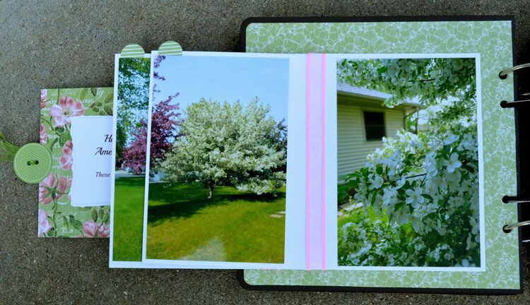 Cranberry Bushes Photo Flap Page # 3