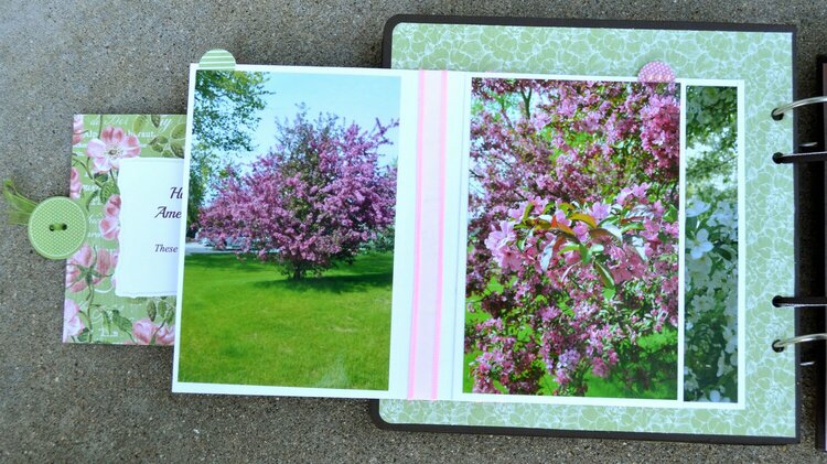 Cranberry Bushes Photo Flap Page #2