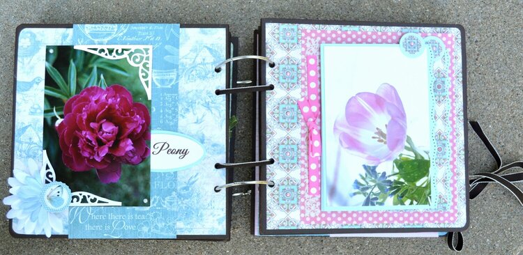 Peony and Tulips Pages