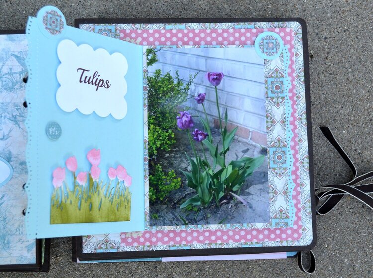 Tulips Photo Flap Page # 1