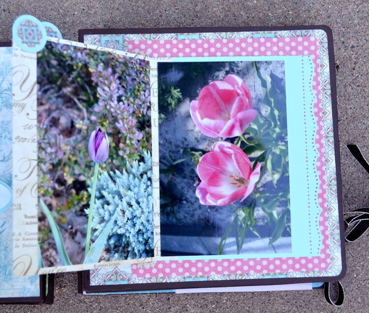 Tulips Photo Flap Page # 2
