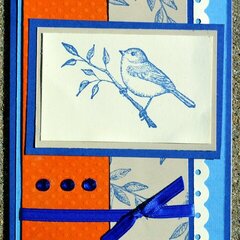 Orange and Blue Bird Card