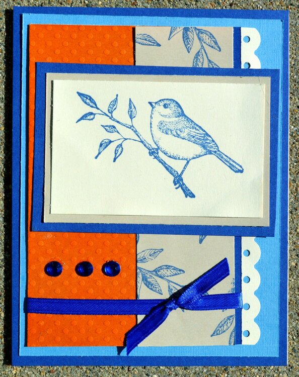 Orange and Blue Bird Card