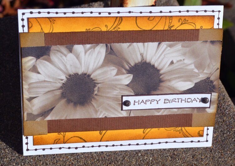 Daisies with Orange Background Card