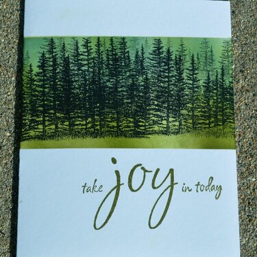 Take Joy Masked Evergreens Card