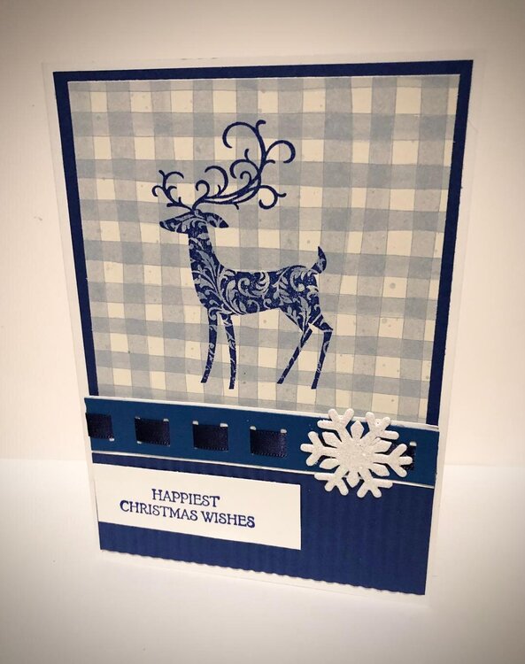 Blue Gingham Deer Christmas Card