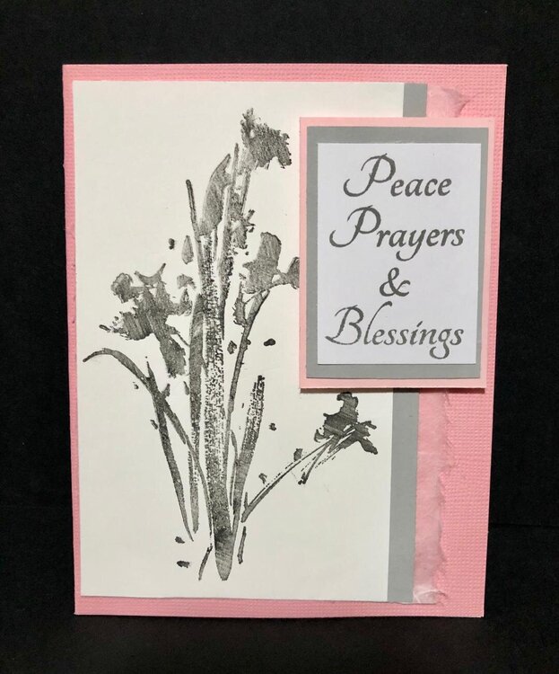 Pink Irises and Mulberry Sympathy Card