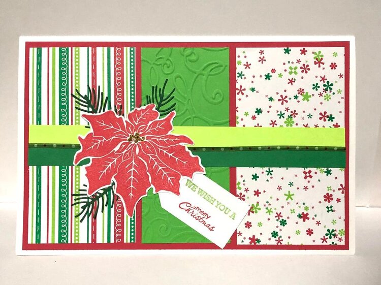 Light Green and Bright Red Poinsettia Card