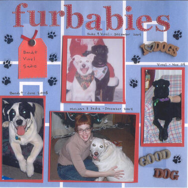 We love our furbabies 2