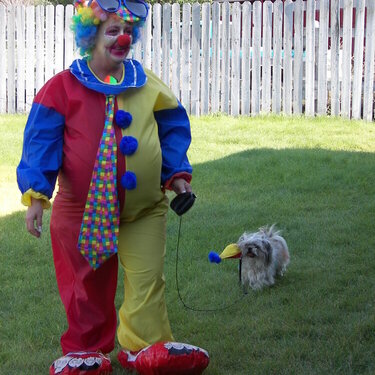 A Clown and Her Act