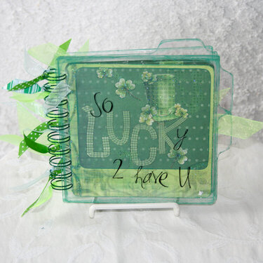 Clear Scraps &quot;So Lucky&quot; 6-inch tabbed album cover
