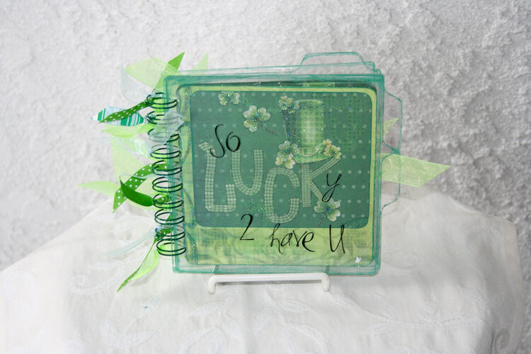 Clear Scraps &quot;So Lucky&quot; 6-inch tabbed album cover