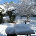 the snow of 2010