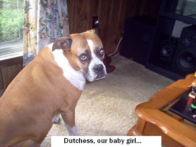Dutchess