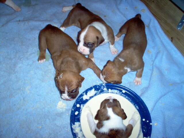Their first meal