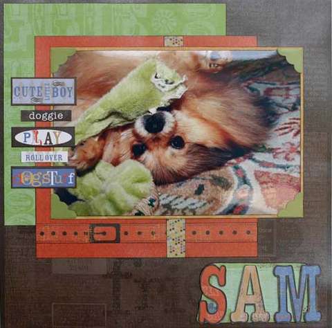 Sam by Nancy Rogers